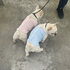 gilet en laine pour chien