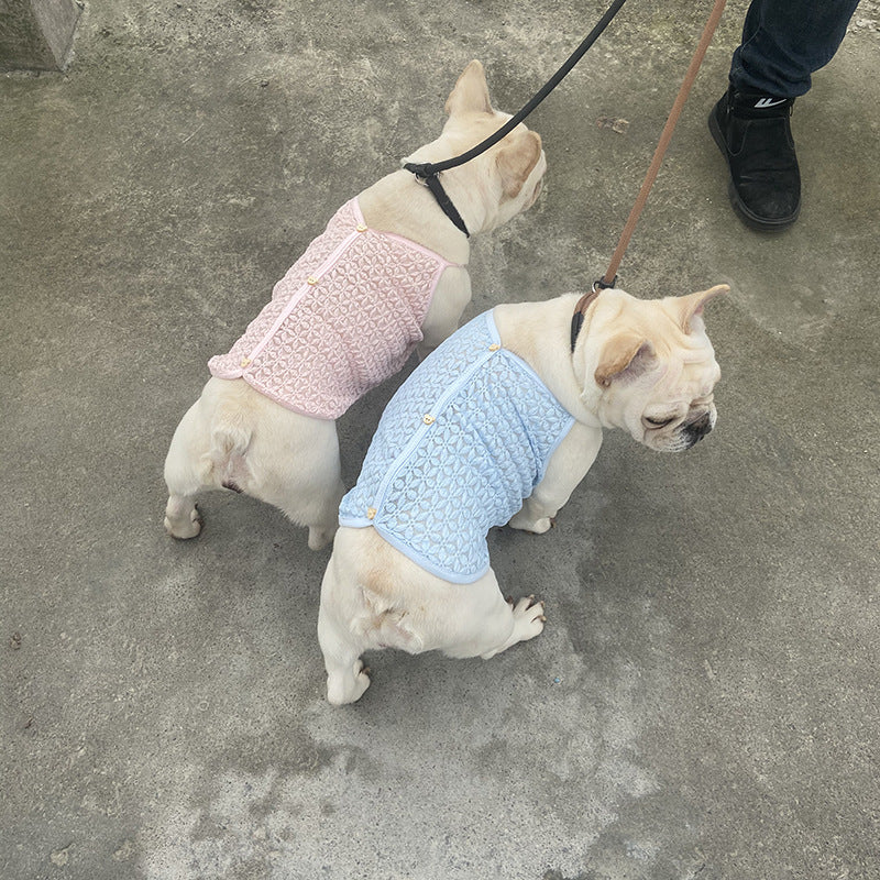 gilet en laine pour chien