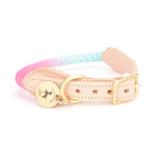 collier pour chien cuir et corde coton