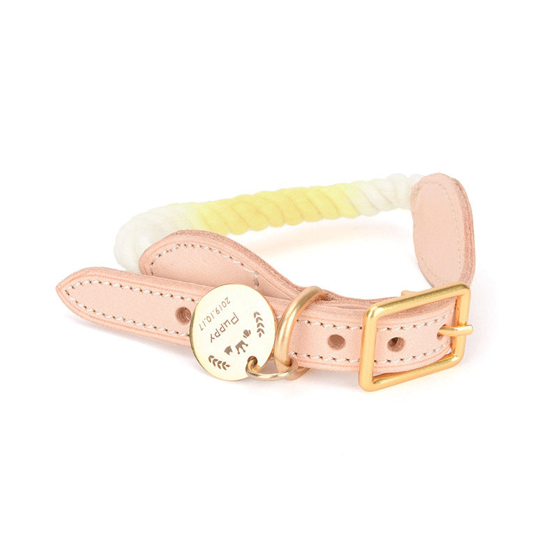 collier pour chien cuir et corde coton