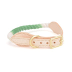 collier pour chien cuir et corde coton