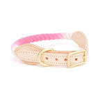 collier pour chien cuir et corde coton