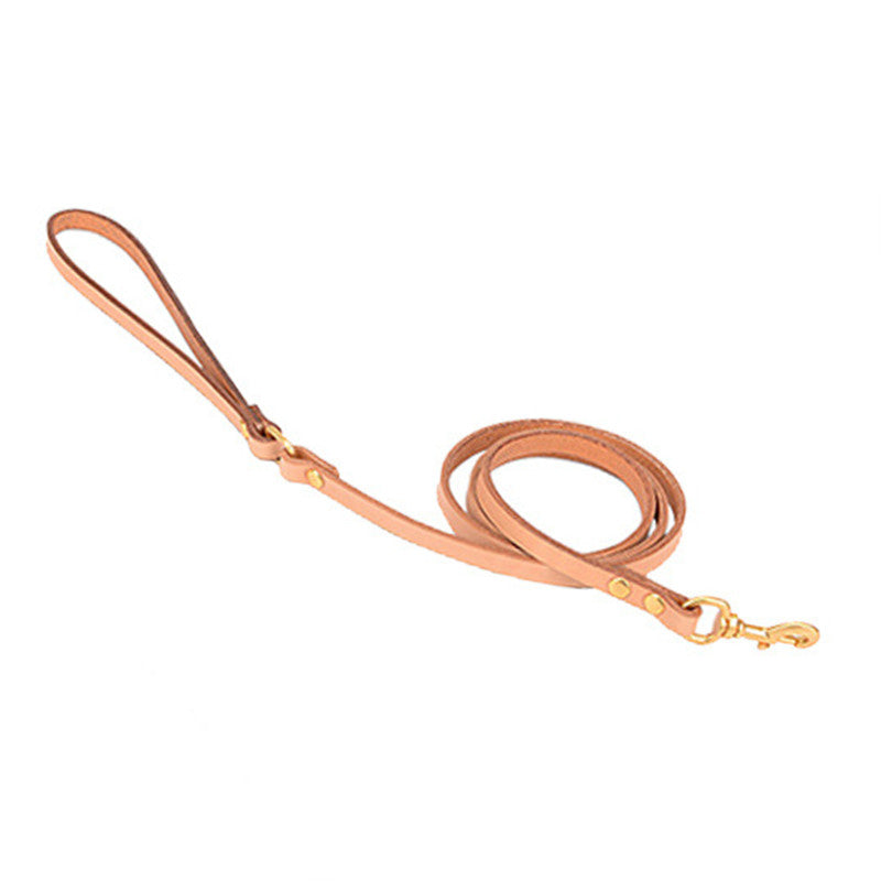 Laisse en cuir pour petit chien
