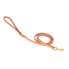 Laisse en cuir pour petit chien
