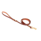 Laisse en cuir pour petit chien