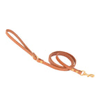 Laisse en cuir pour petit chien