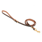 Laisse en cuir pour petit chien