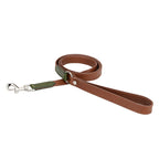Laisse pour chien en cuir, avec rallonge