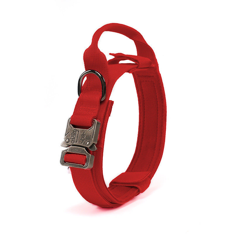 Collier tactique pour chien nylon