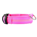 Collier chien lumineux LED