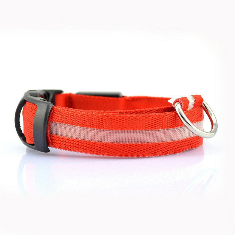 Collier chien lumineux LED