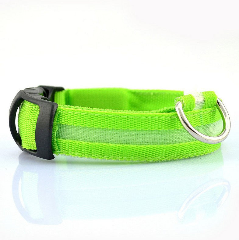 Collier chien lumineux LED