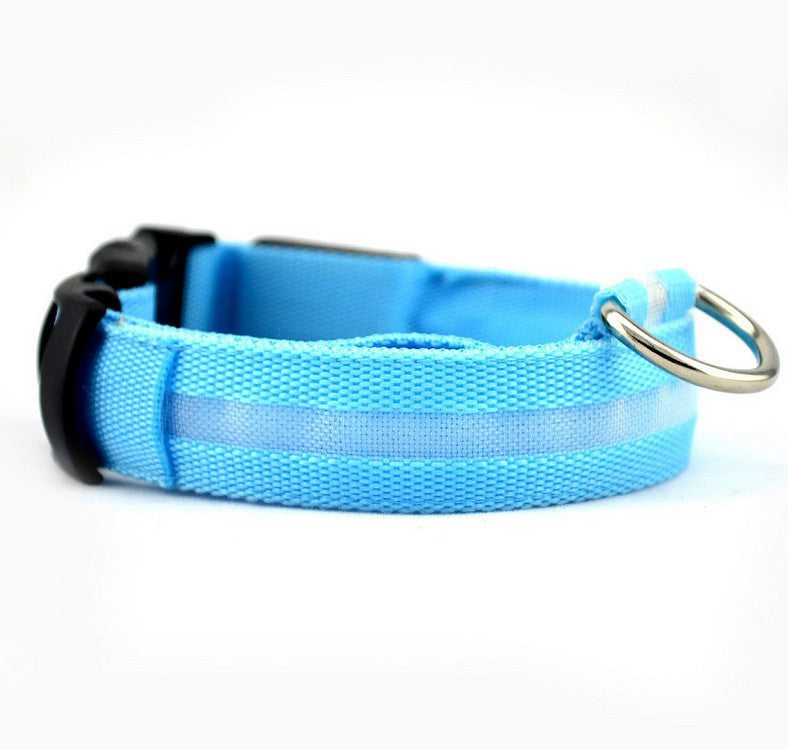 Collier chien lumineux LED
