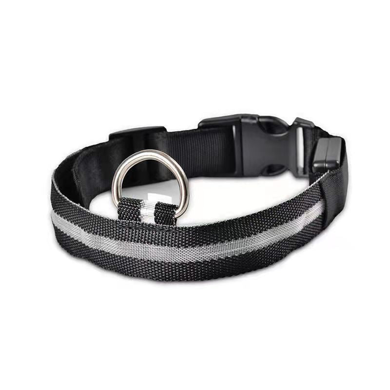 Collier chien lumineux LED