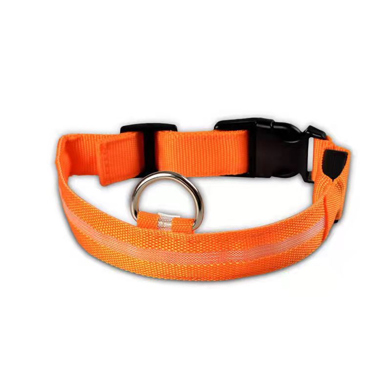 Collier chien lumineux LED