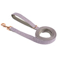 Laisse de promenade nylon pour chien