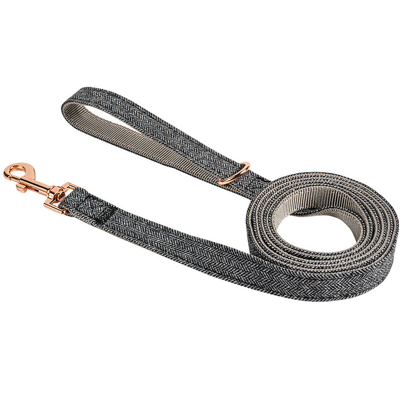 Laisse de promenade nylon pour chien