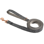 Laisse de promenade nylon pour chien