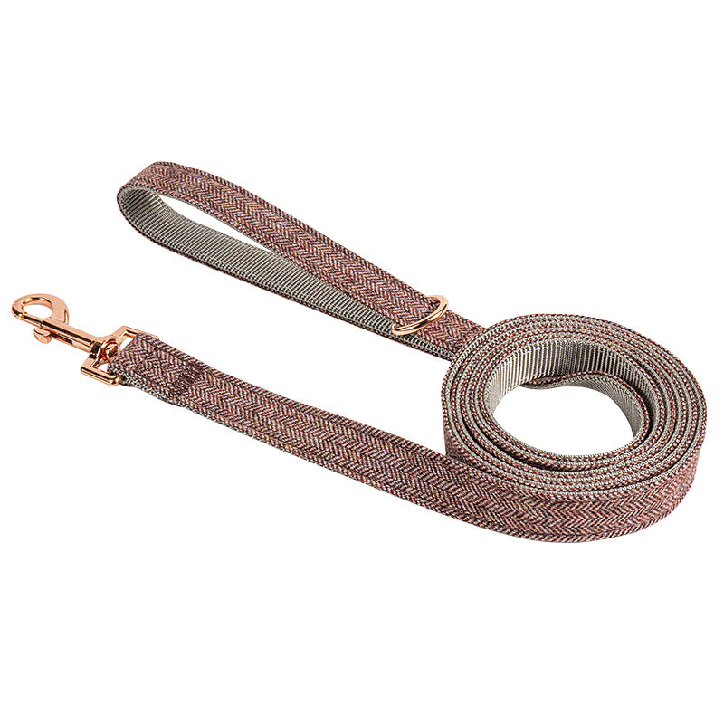 Laisse de promenade nylon pour chien