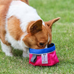 Gamelle de transport pliante pour chien